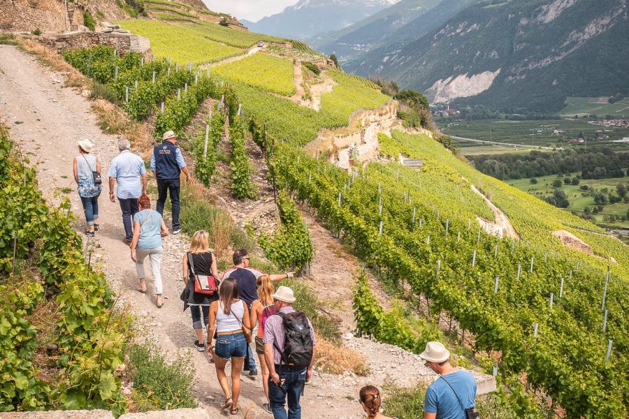 Die Geschichte des Wallis