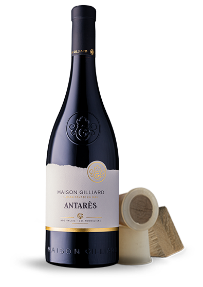 Wine Bottle - Les Tonneliers