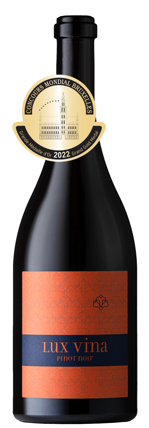 Pinot Noir «Clos de Pachje» 2022